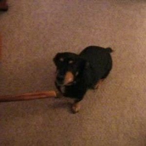 Meet your Posher, Michael